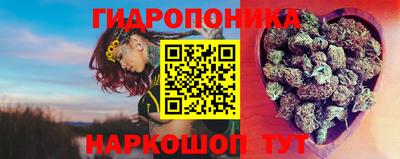 сатива Канаш