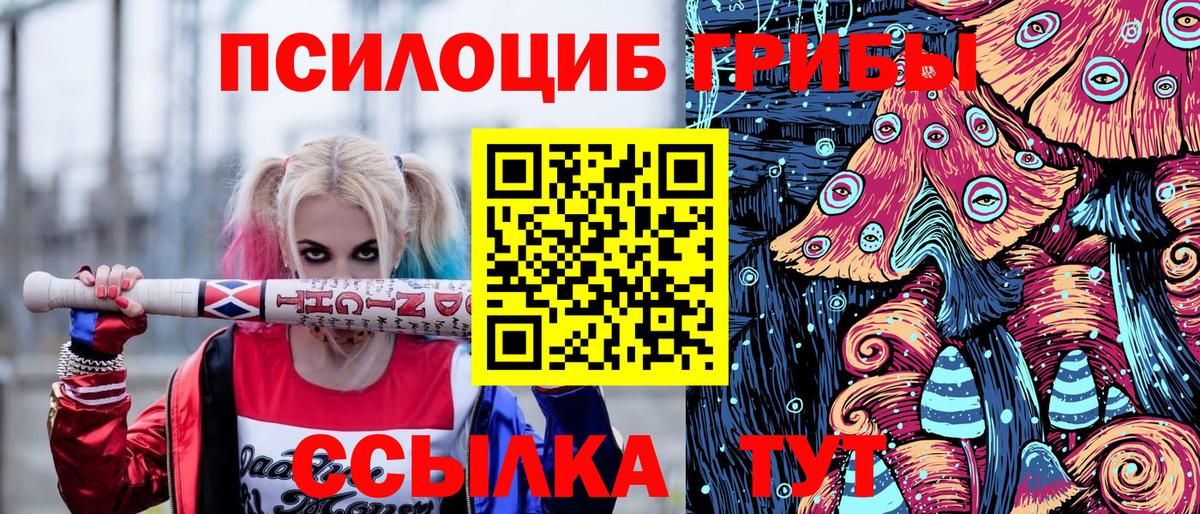 где продают наркотики  Вход с VPN  Псилоцибиновые грибы MAGIC MUSHROOMS  Красноярск  Галлюциногенные грибы мухоморы 